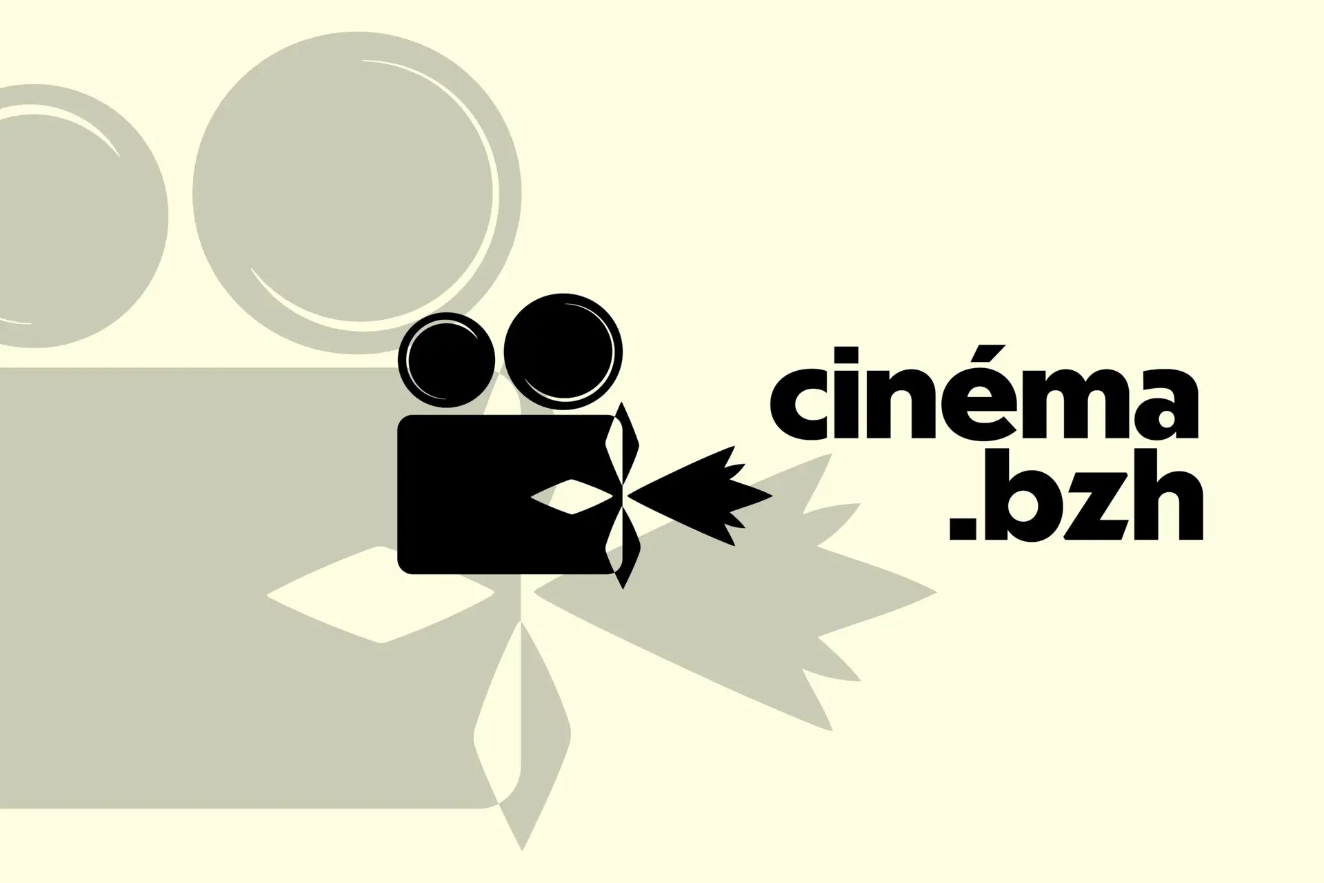 Cinema BZH@3x-50